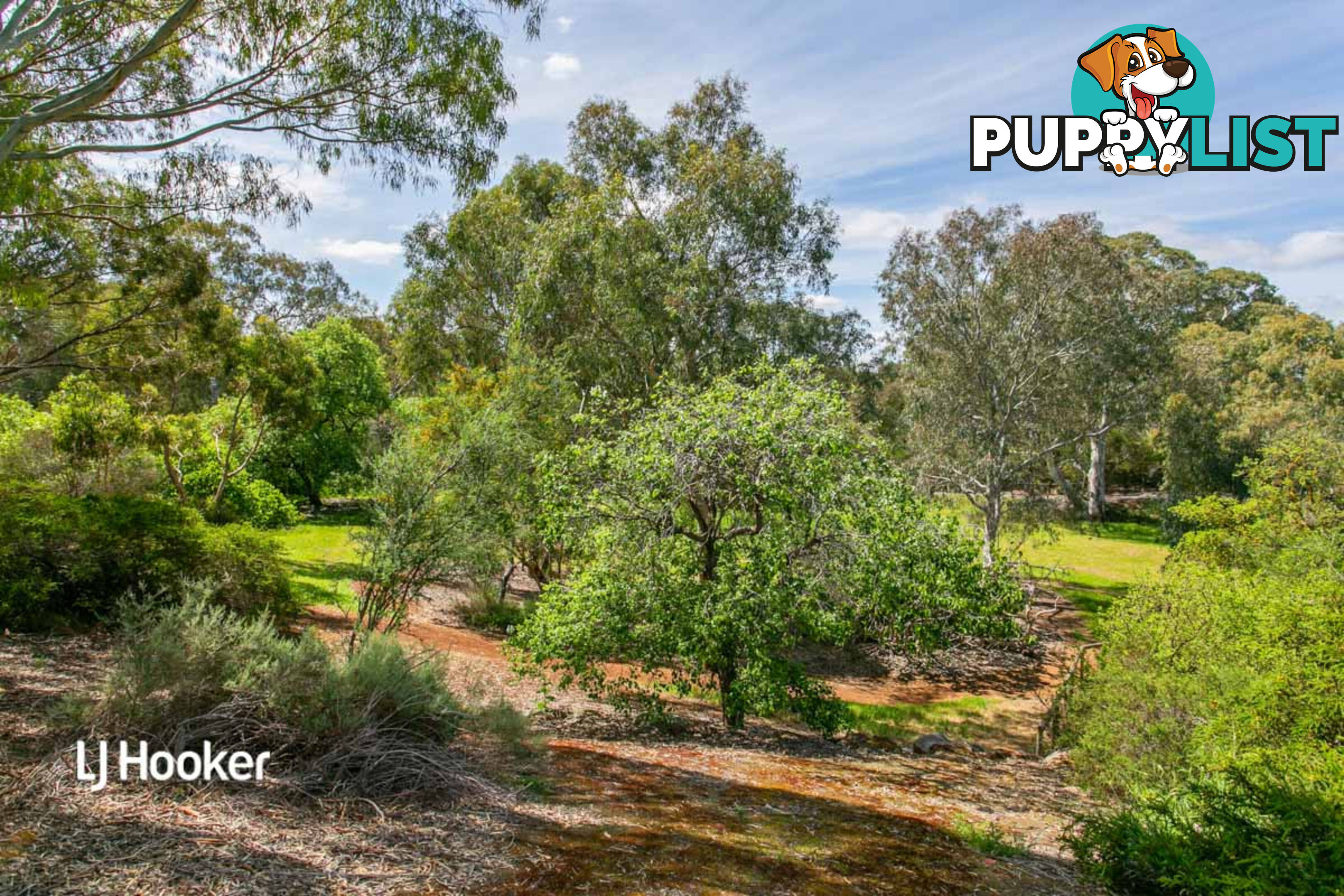 58 Kingfisher Drive MODBURY HEIGHTS SA 5092