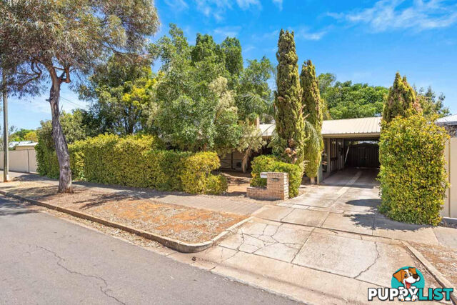 4 Parham Street ELIZABETH DOWNS SA 5113