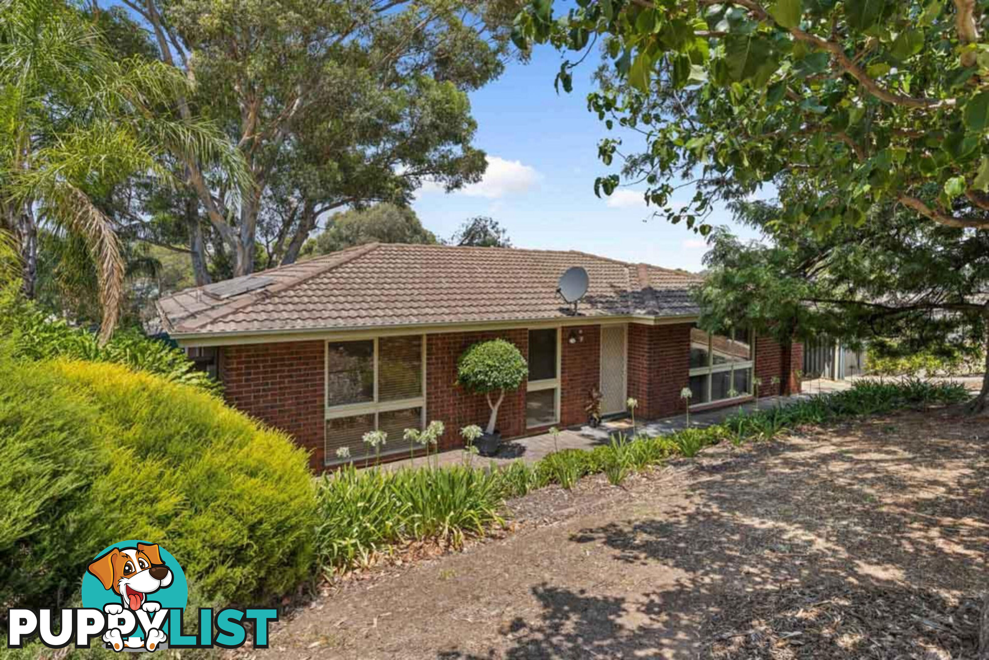 21 Palomino Parade WYNN VALE SA 5127