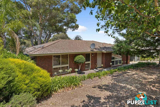 21 Palomino Parade WYNN VALE SA 5127