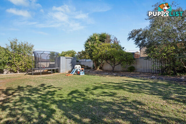 12 Wirilda Avenue SURREY DOWNS SA 5126