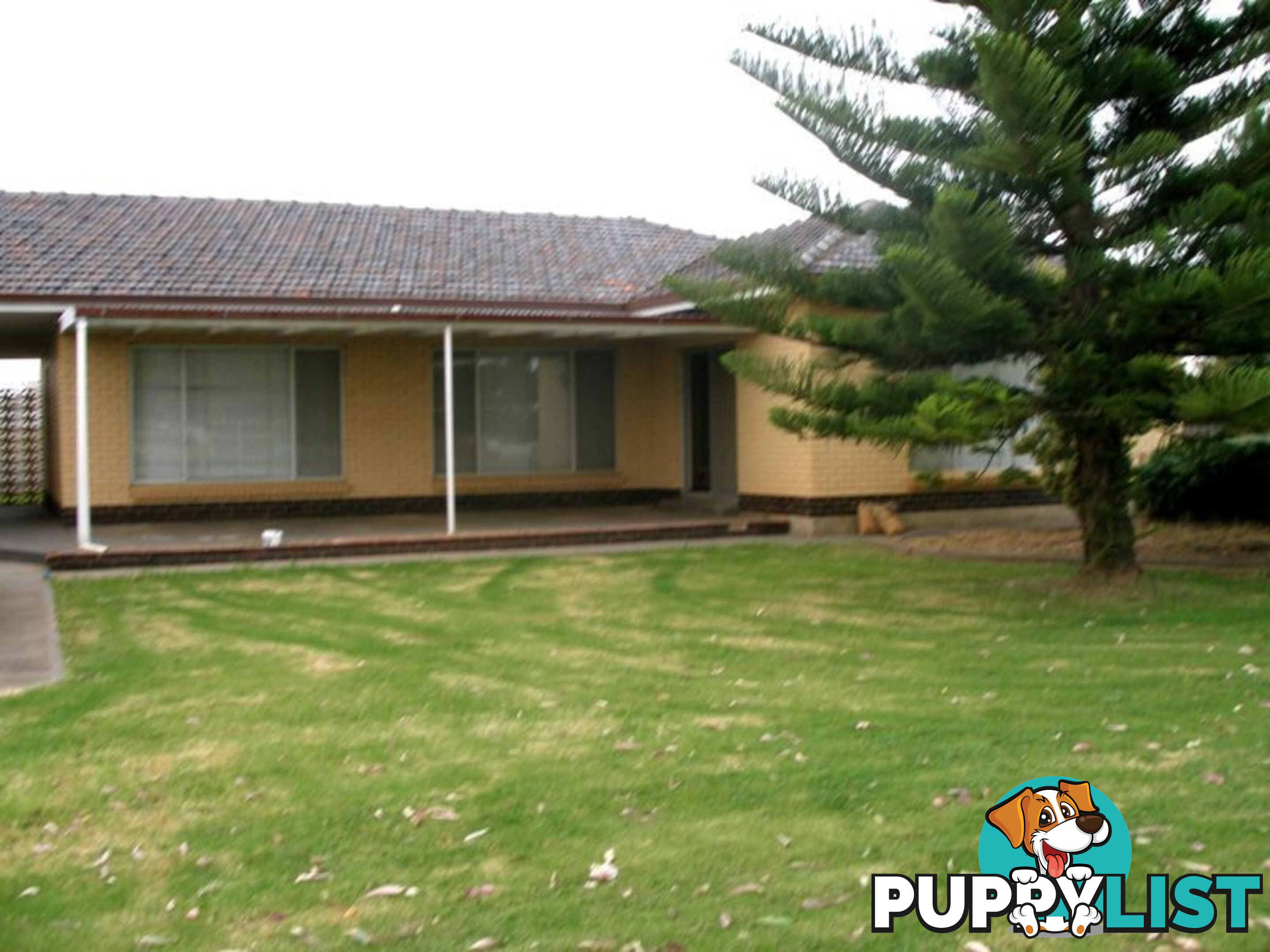 19B Gawler Road VIRGINIA SA 5120