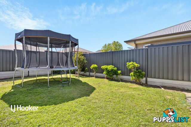 35 Albion Court MOUNT BARKER SA 5251