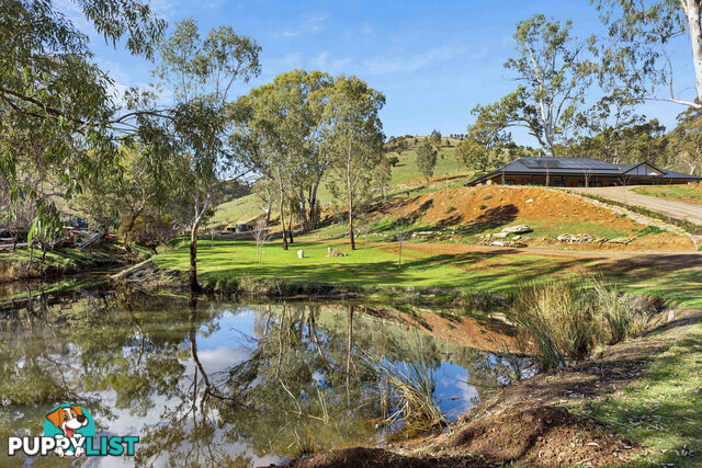 57 Purdom Road GOULD CREEK SA 5114