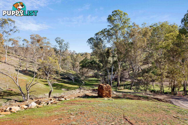 57 Purdom Road GOULD CREEK SA 5114