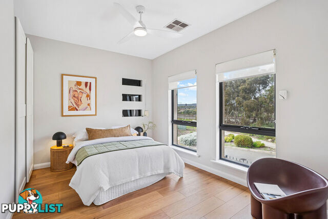 47 Adeline Street MAWSON LAKES SA 5095