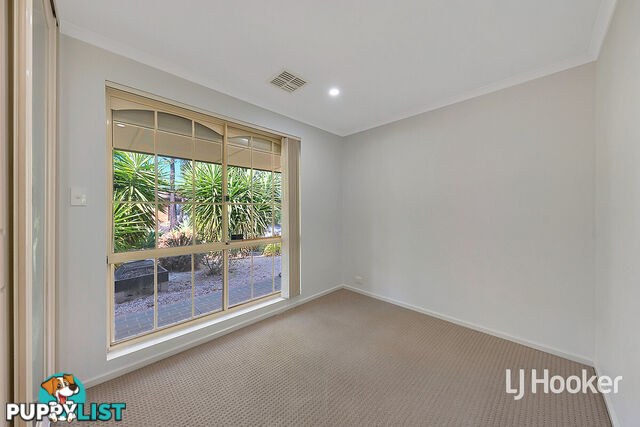 6 Shelter Close BLAKEVIEW SA 5114