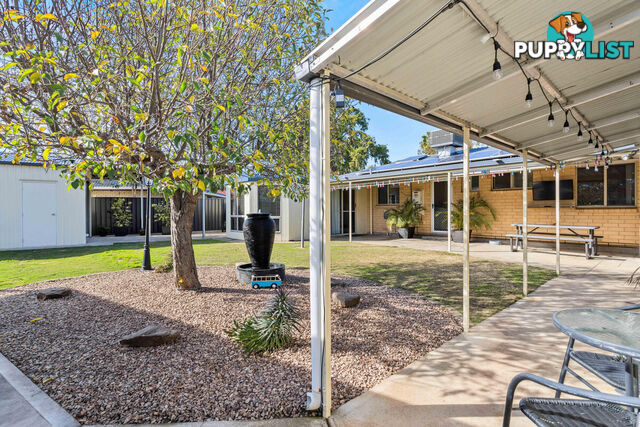 5 Cooper Place PARALOWIE SA 5108