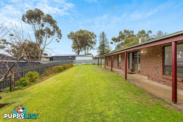 8 Fergusson Court LYNDOCH SA 5351