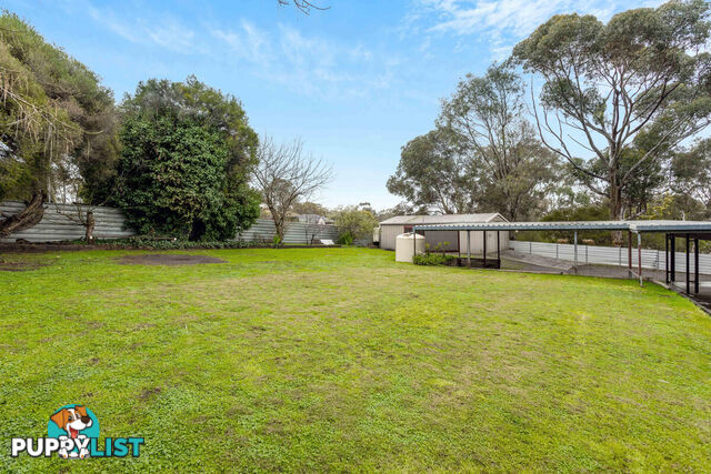 8 Fergusson Court LYNDOCH SA 5351