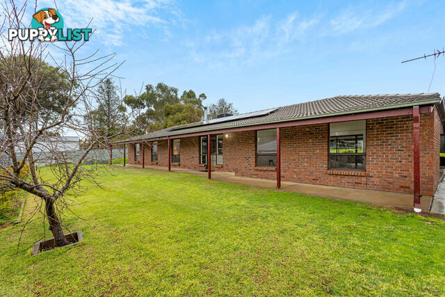 8 Fergusson Court LYNDOCH SA 5351