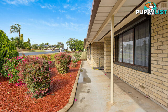 11 Karrawirra Close CRAIGMORE SA 5114