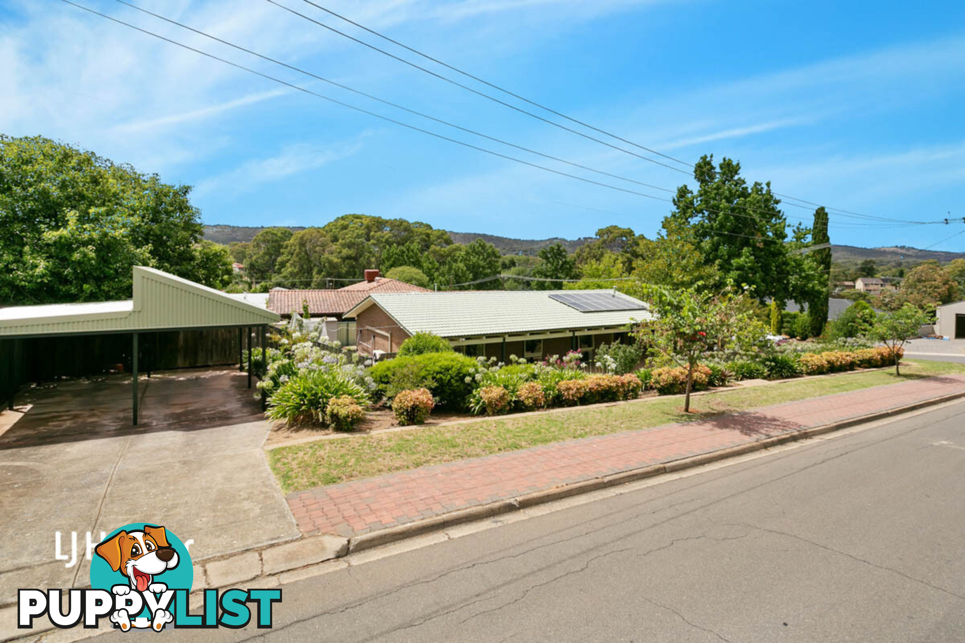 7 Lydia Avenue SURREY DOWNS SA 5126