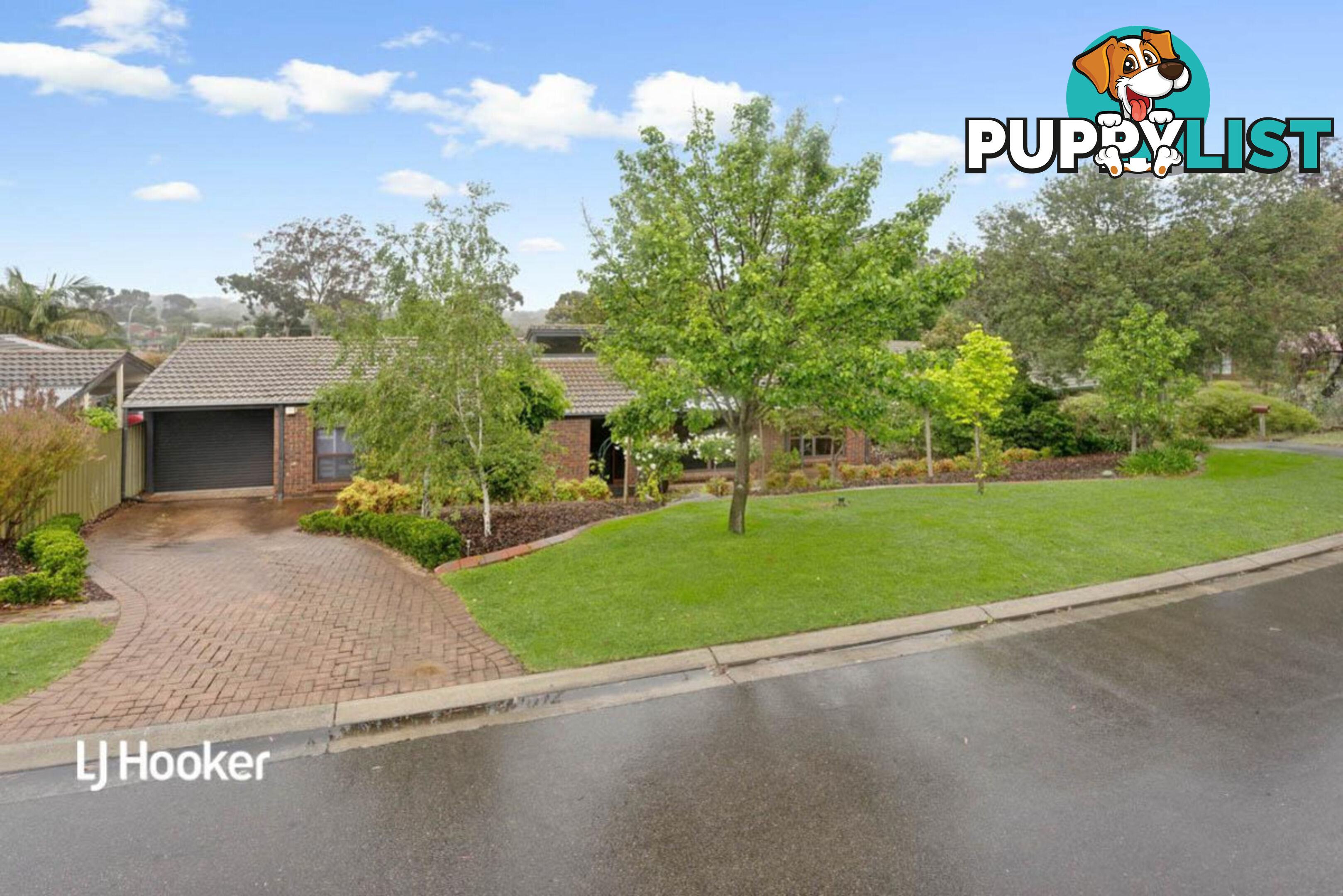 24 Lydia Avenue SURREY DOWNS SA 5126