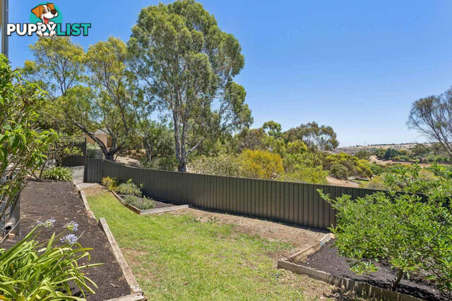 17 Lochleven Avenue GREENWITH SA 5125