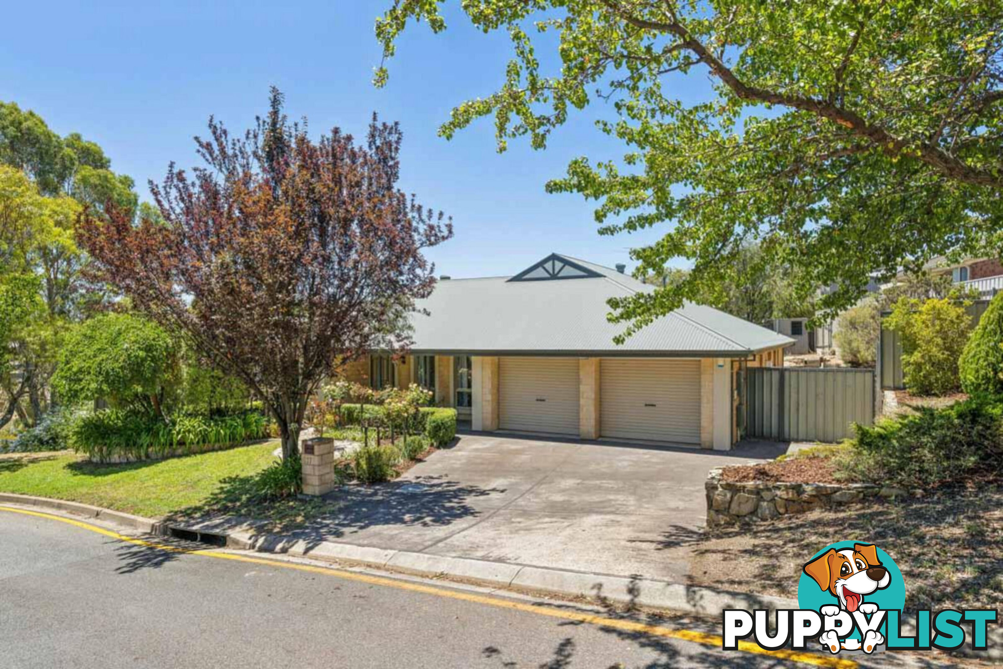 17 Lochleven Avenue GREENWITH SA 5125