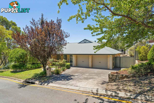 17 Lochleven Avenue GREENWITH SA 5125