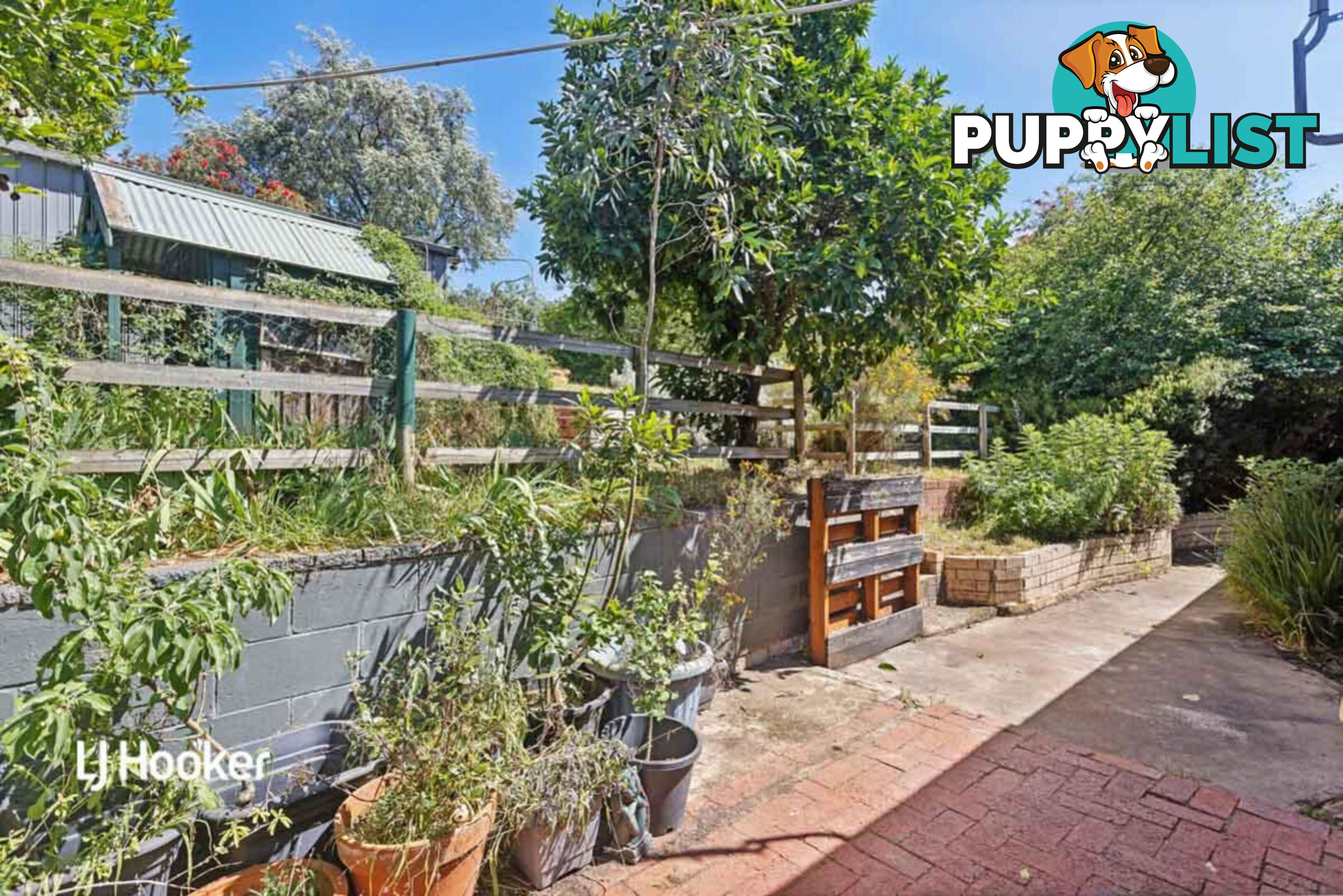 26 Cronulla Drive REDWOOD PARK SA 5097