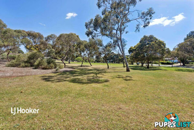 26 Cronulla Drive REDWOOD PARK SA 5097