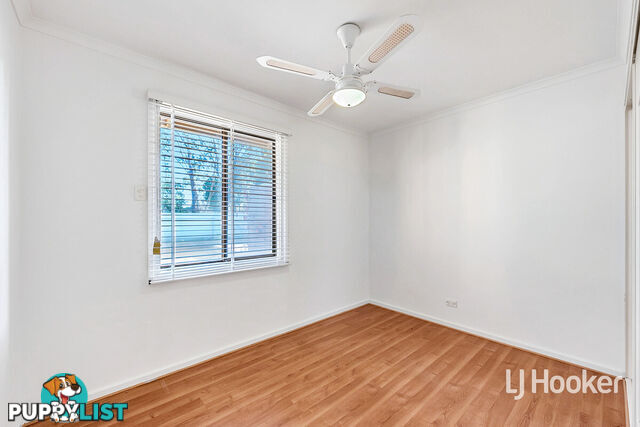 26 Rosemary Avenue PARAFIELD GARDENS SA 5107