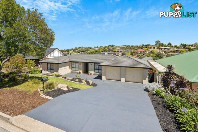 11 Broughton Place GREENWITH SA 5125