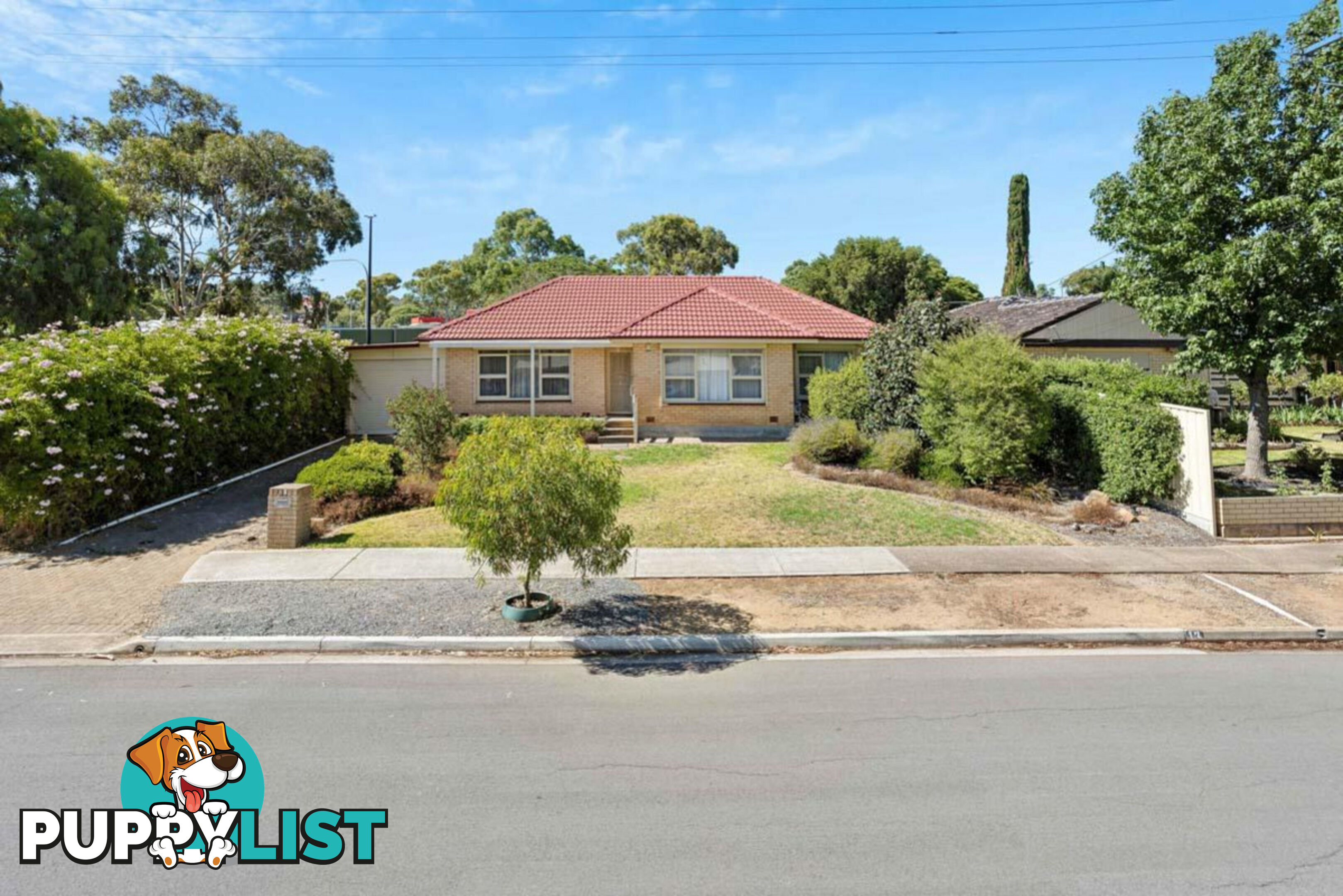 13 Darlington Street STURT SA 5047