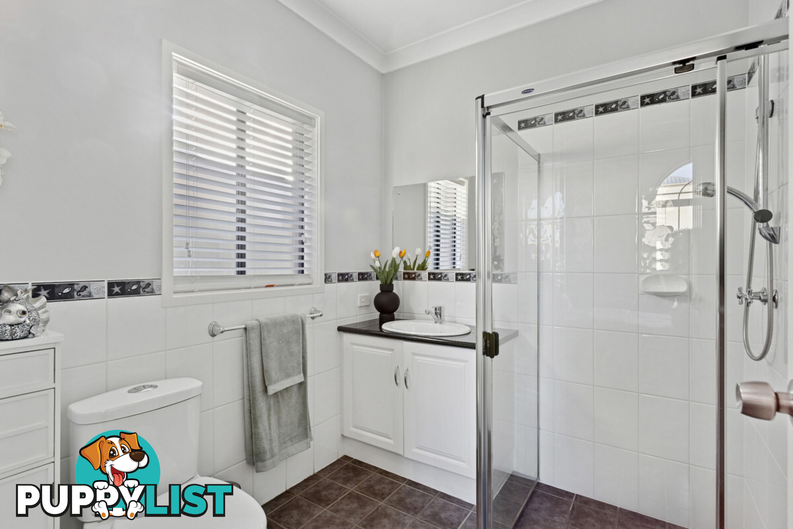 4 Santorini Walk MAWSON LAKES SA 5095