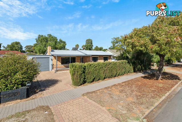 88 Hamblynn Road ELIZABETH DOWNS SA 5113