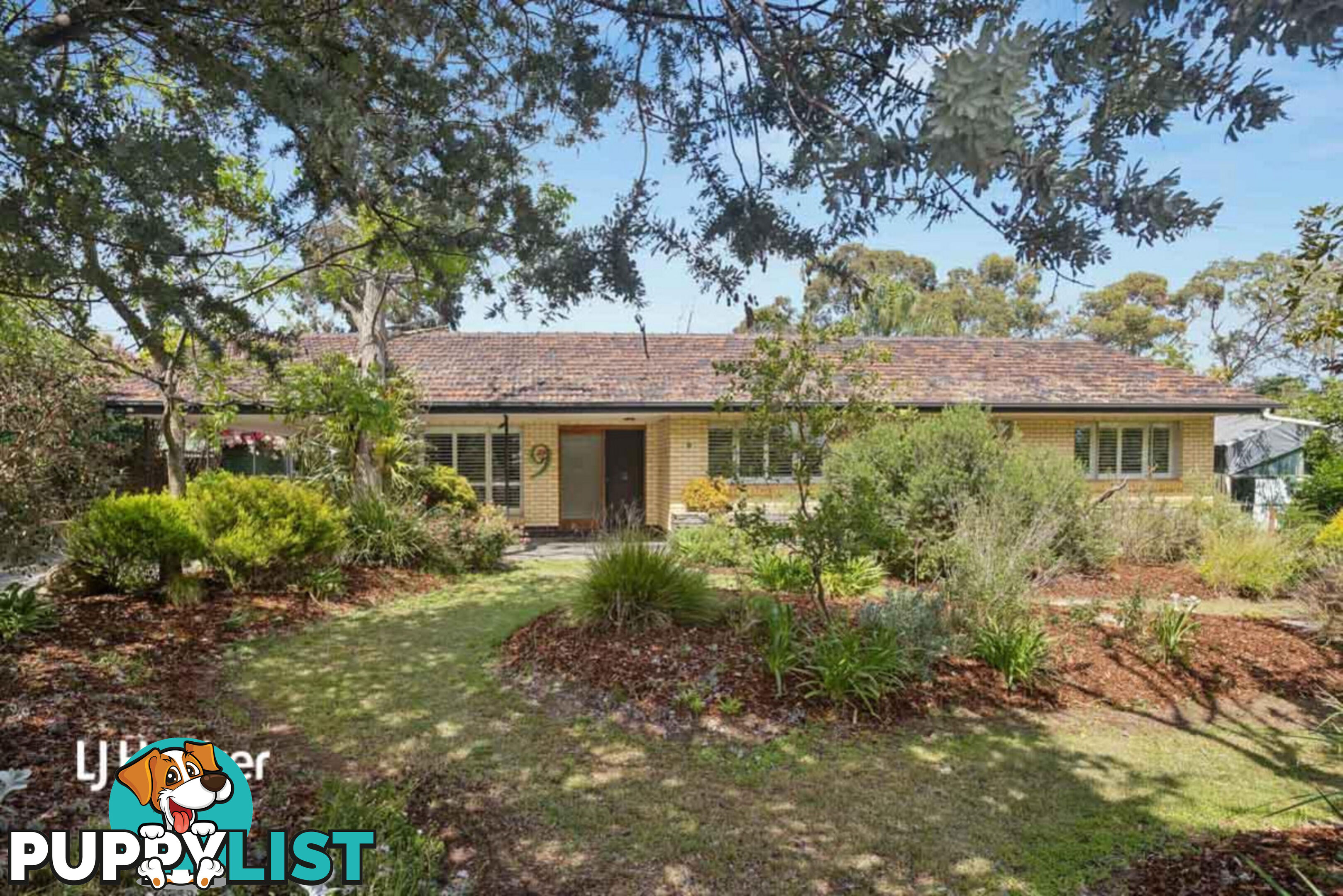 9 Birt Avenue SALISBURY HEIGHTS SA 5109