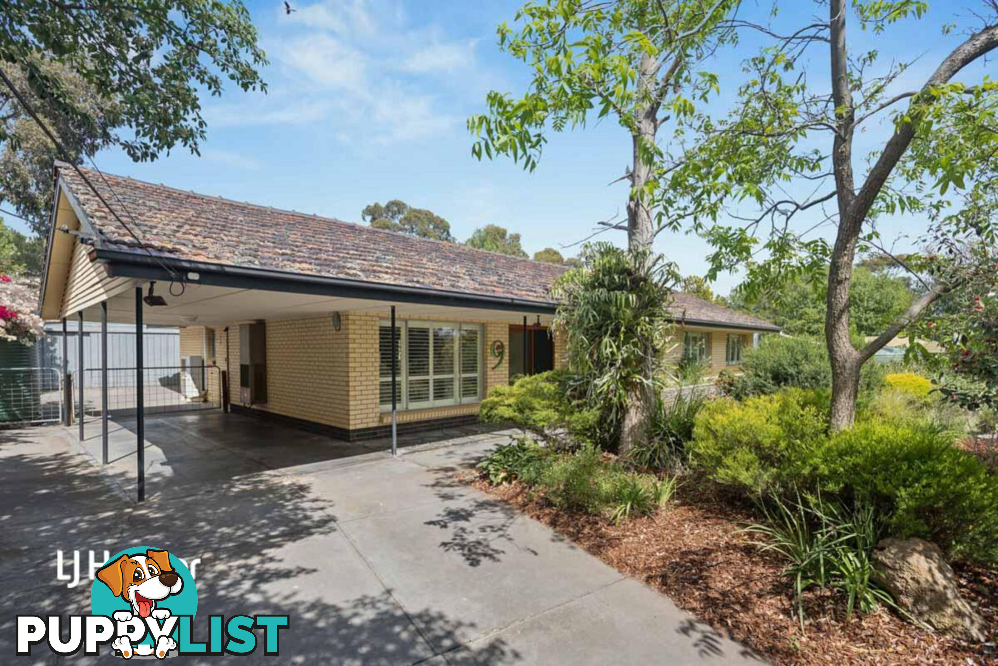 9 Birt Avenue SALISBURY HEIGHTS SA 5109