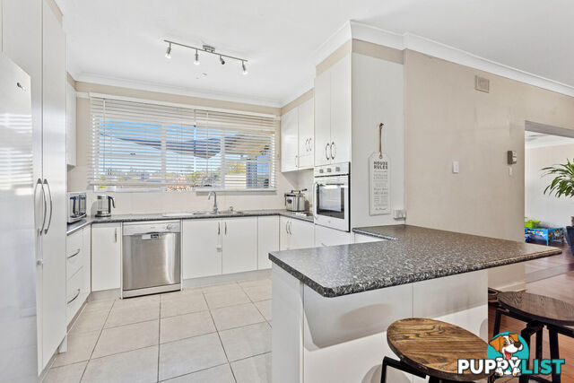 81 Collingbourne Drive ELIZABETH VALE SA 5112
