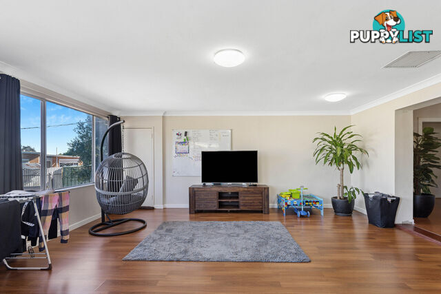 81 Collingbourne Drive ELIZABETH VALE SA 5112