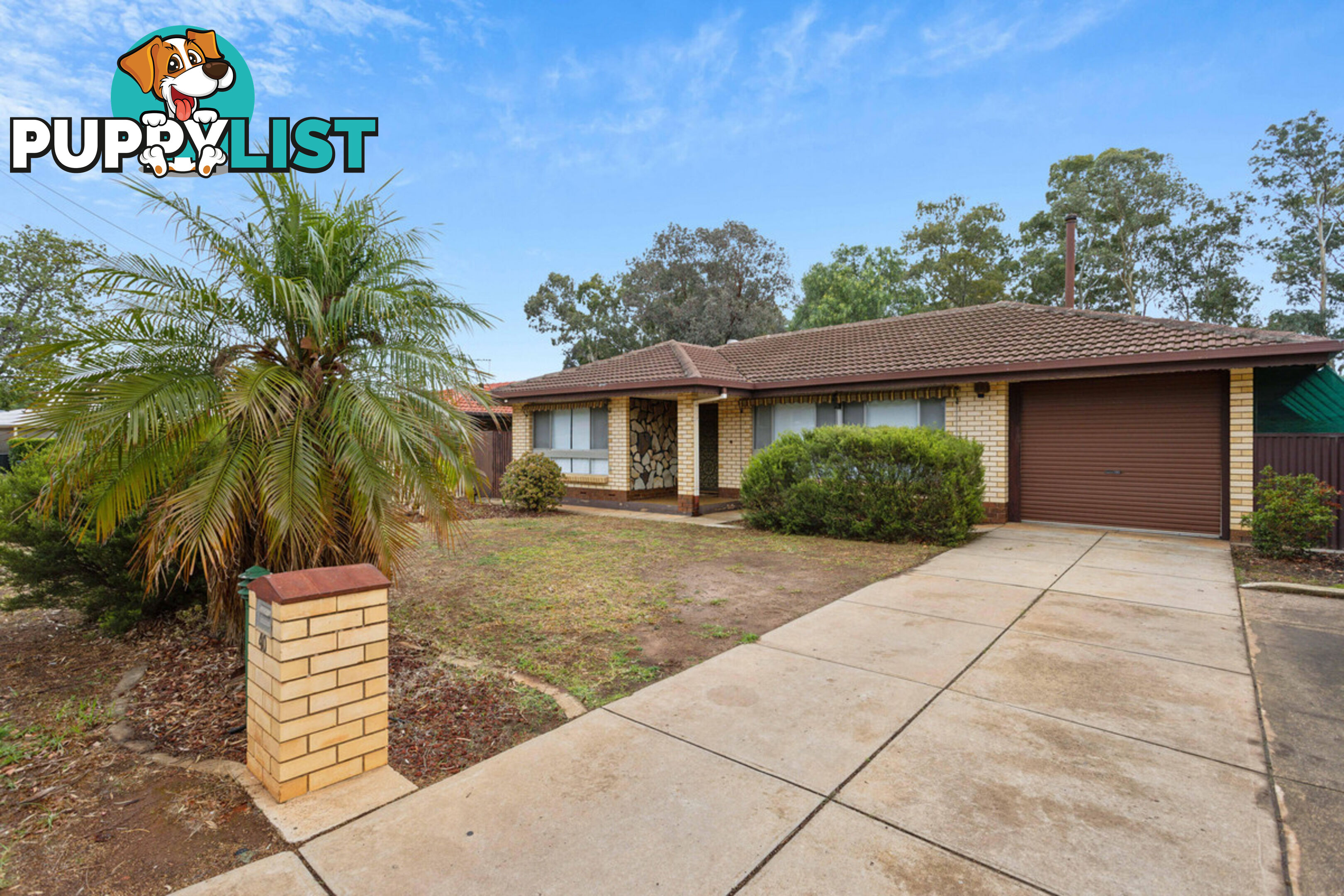 40 Dexter Drive SALISBURY EAST SA 5109