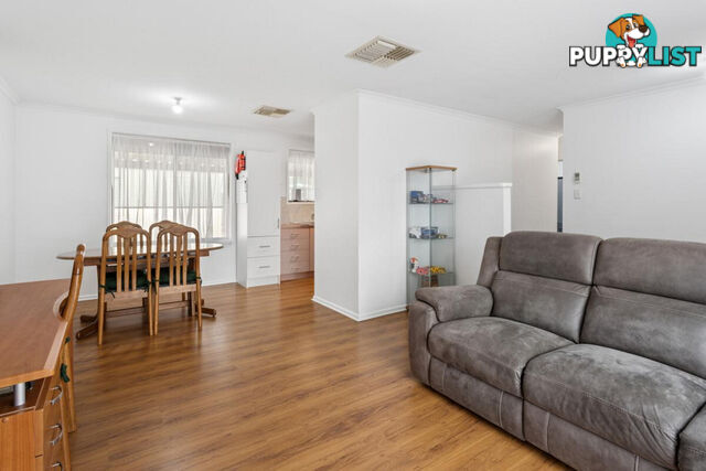 8 Amsterdam Street CRAIGMORE SA 5114