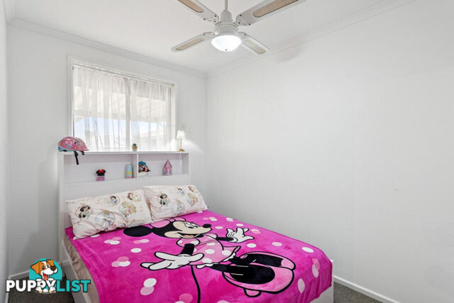 8 Amsterdam Street CRAIGMORE SA 5114