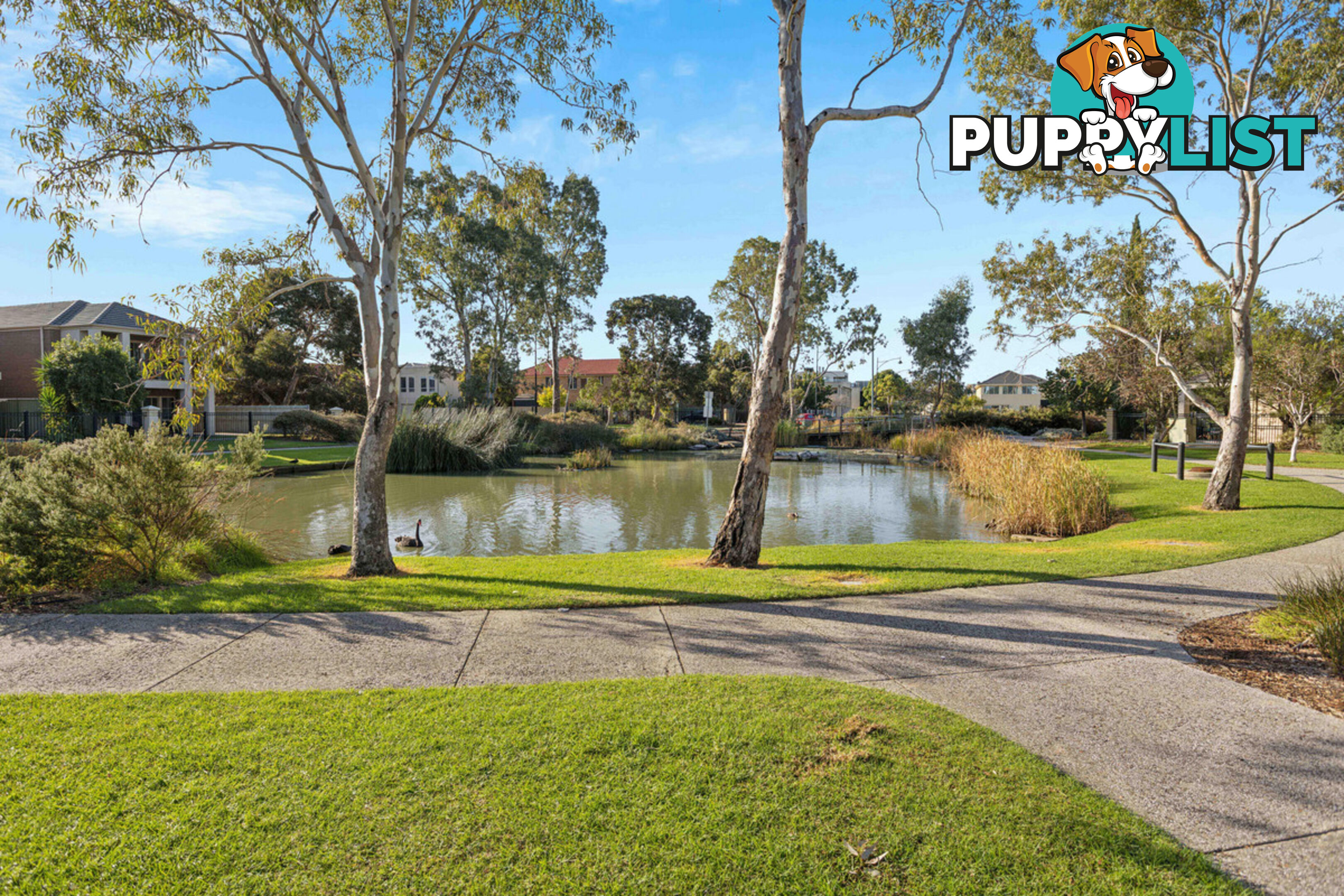 1 Weatherstone Crescent MAWSON LAKES SA 5095