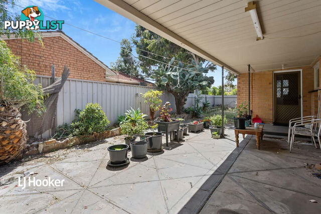 11 Armstrong Avenue PARAFIELD GARDENS SA 5107