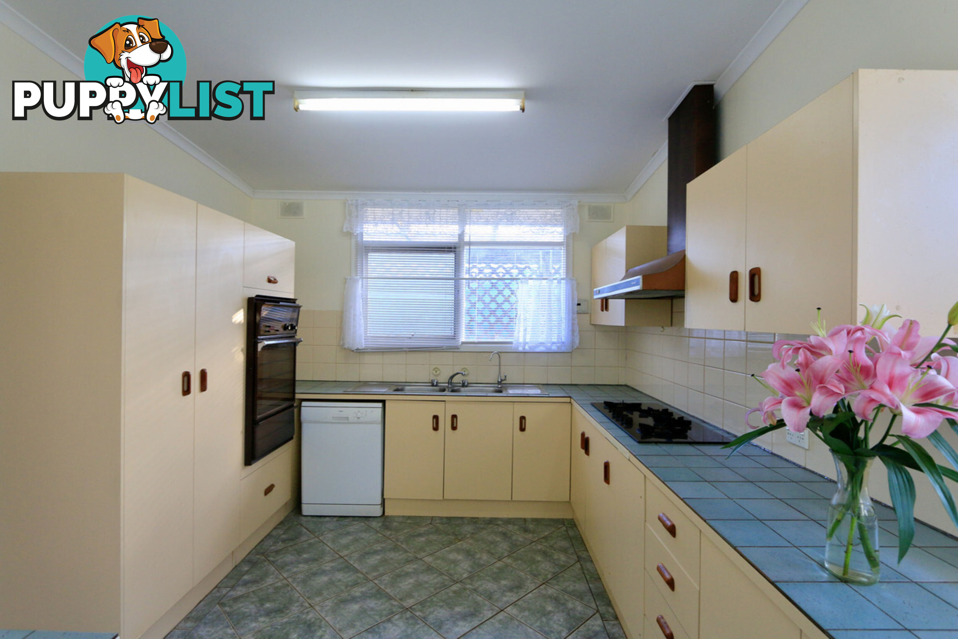 137 Kelly Road MODBURY NORTH SA 5092