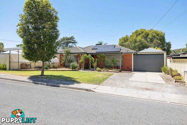 11 Araluen Street RIDGEHAVEN SA 5097