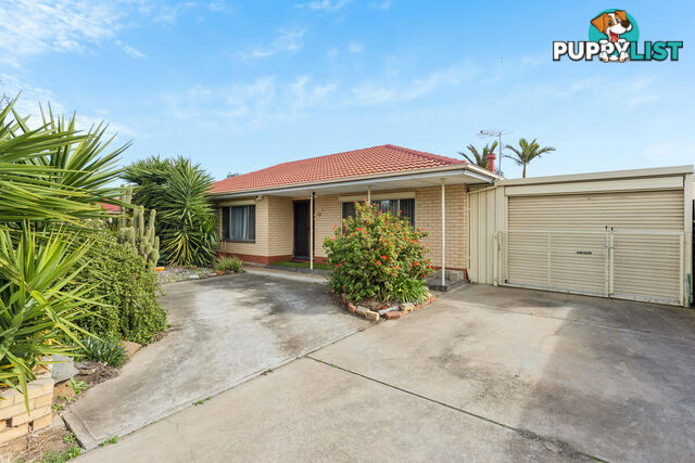 13 Blyth Avenue PARAFIELD GARDENS SA 5107