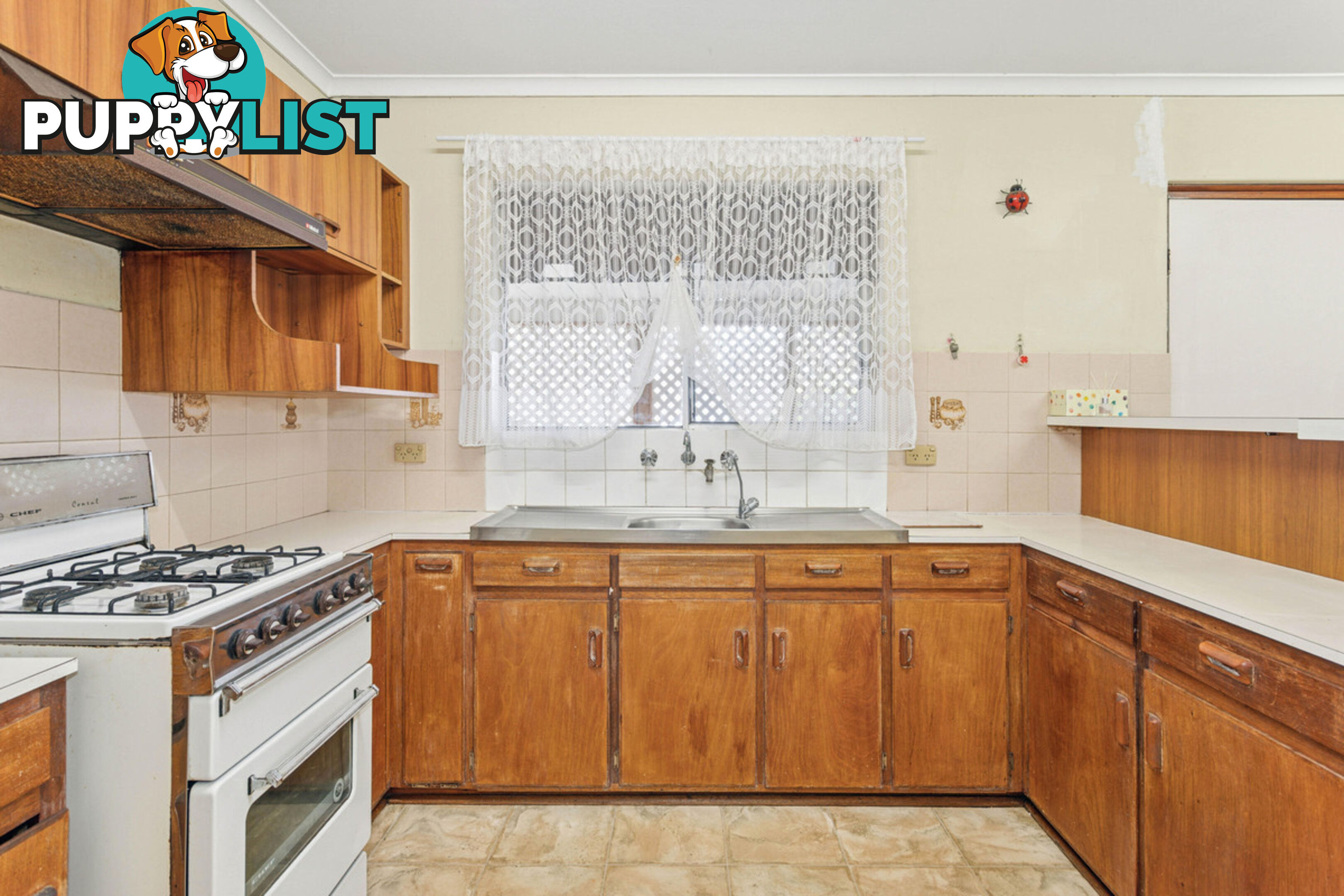 13 Blyth Avenue PARAFIELD GARDENS SA 5107