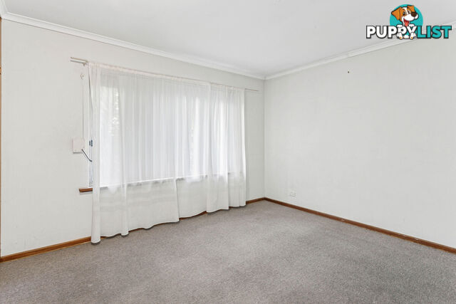 13 Blyth Avenue PARAFIELD GARDENS SA 5107