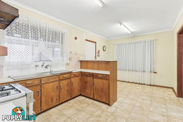 13 Blyth Avenue PARAFIELD GARDENS SA 5107