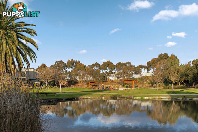 6 Stony Way MAWSON LAKES SA 5095