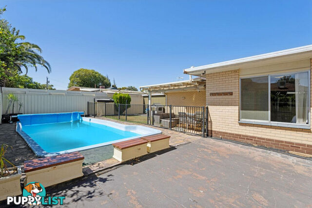 56 Chapel Road MODBURY NORTH SA 5092