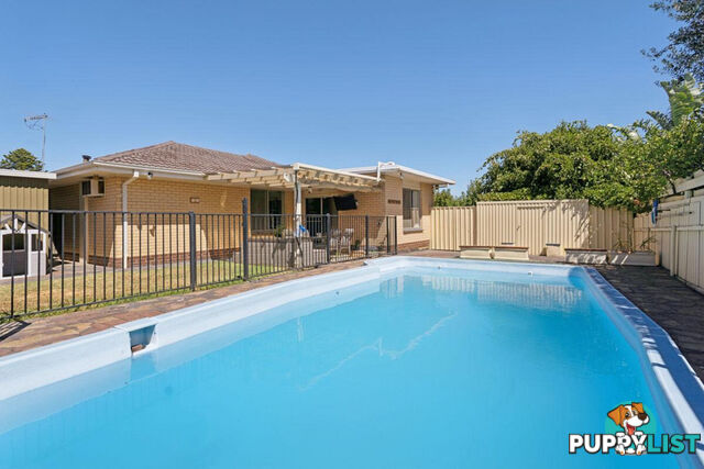 56 Chapel Road MODBURY NORTH SA 5092