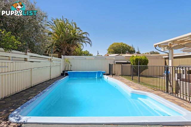 56 Chapel Road MODBURY NORTH SA 5092