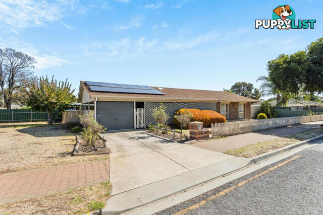 38 Brunel Drive MODBURY HEIGHTS SA 5092