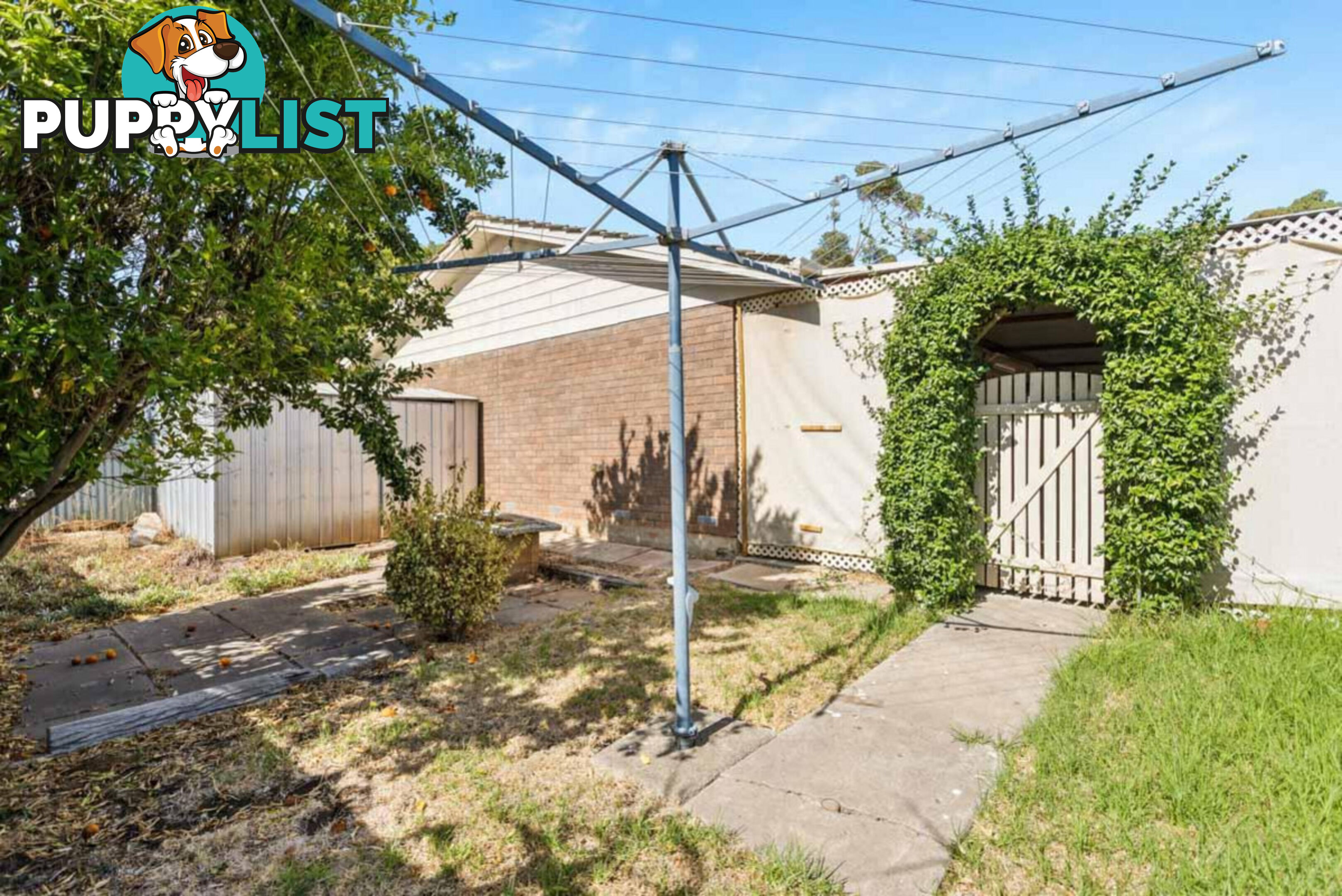 38 Brunel Drive MODBURY HEIGHTS SA 5092