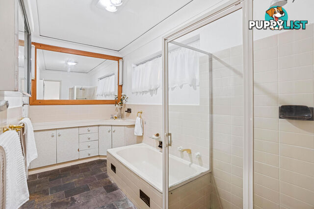 15 Albion Street RIDGEHAVEN SA 5097